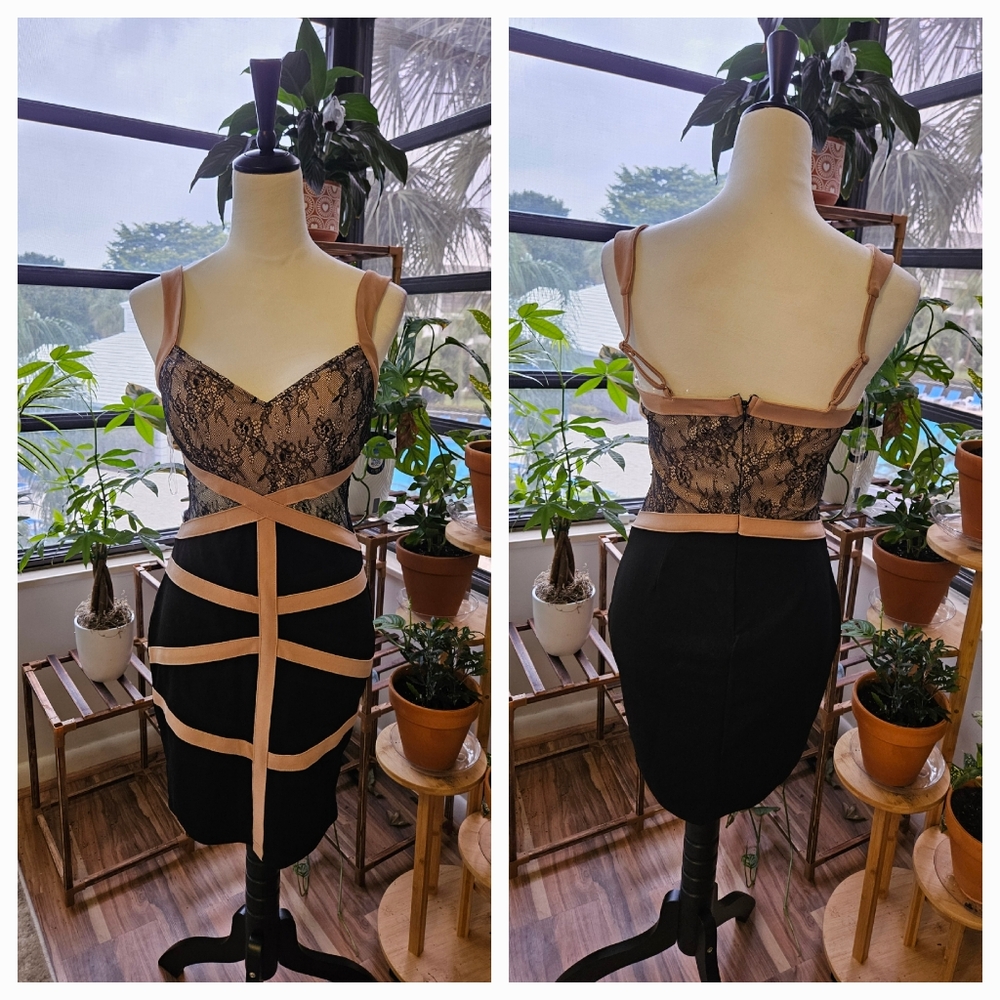 Chic Lace Cocktail Dress
